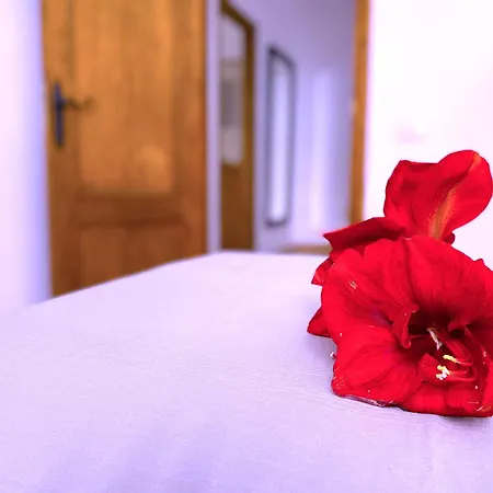 Tropicalidays Mountain Scape Vakantiehuis Arona (Tenerife)