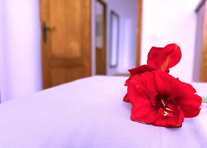 Tropicalidays Mountain Scape Сasa de vacaciones Arona (Tenerife)